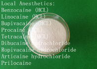 USP High Purity Bupivacaine Hydrochloride Bupivacaine HCL CAS 14252-80-3 Local Anesthetic Pain Relief