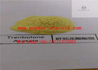 Trenbolone-Azetat Trenbolone-Steroide CAS 862-89-5 C20H24O3
