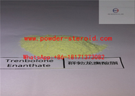 Weiße Pulver Trenbolone-Steroide Trenbolone CAS 10161-33-8 C18h22O2