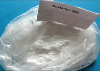 99% High Purity Testosterone Steroids  Sustanon 250 for Muscle-Building and oils or powder