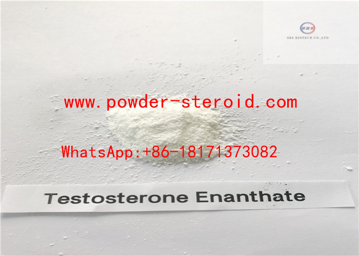 Testosteron enanthate rohes Steroid pulverisiert Androtardyl-Bodybuilding-Ergänzungen